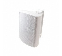 WB 13 - 100 V/8 OHM (WHITE)-kuva